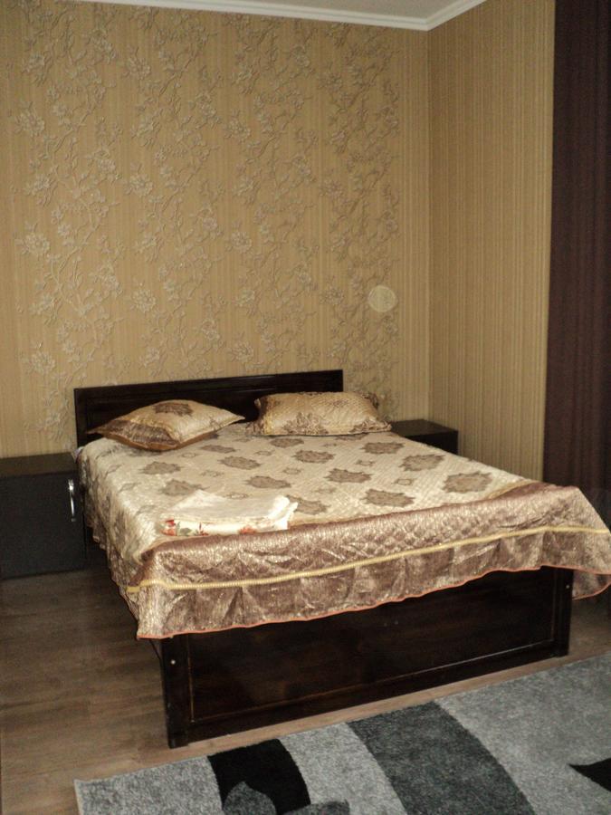 Hotel Akmaral カラコル エクステリア 写真